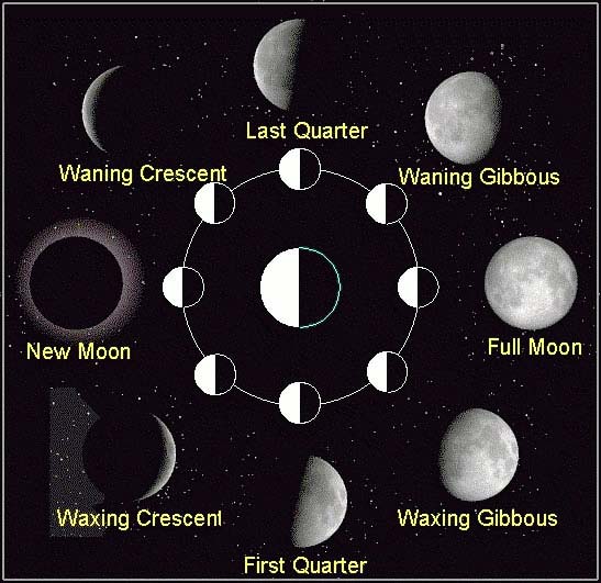 Learn more about the phases of the Moon with this useful moon phases diagram. The phases include new moon, waning crescent, last quarter, waning gibbous, full moon, waxing gibbous, first quarter and waxing crescent.