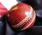 Cricket science video