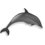 Enjoy this great dolphin video