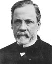 Interesting facts about Louis Pasteur