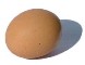external image egg%20%2878%20x%2060%29.jpg
