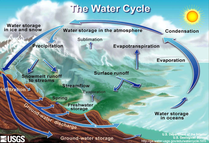 Blank Water Cycle Chart