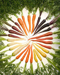 Carrot colors