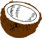 Fun Coconut Facts for Kids - Interesting Information about Coconuts