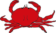 Interesting Information about Crabs