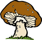 Fun Mushroom Facts for Kids - Interesting Information about Mushrooms