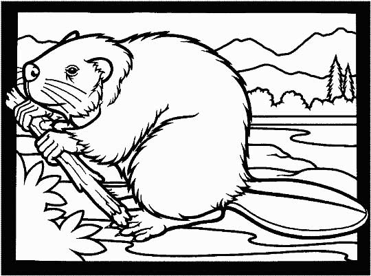 This coloring page for kids features a beaver in the process of building a dam.