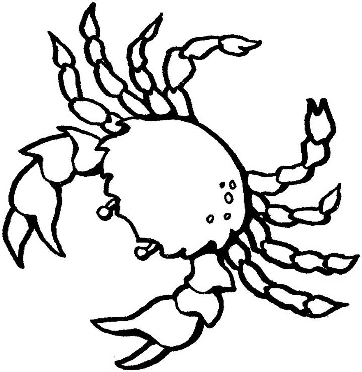This coloring page for kids features a birds eye view of a crab with large pincers.