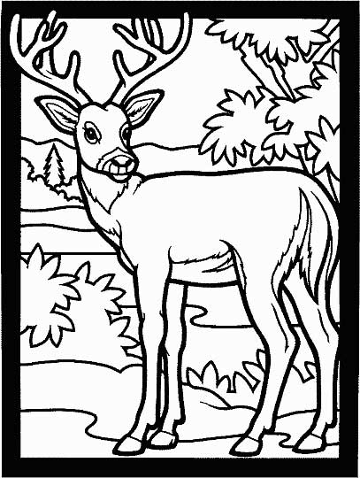 This coloring page for kids features a deer with large antlers turning its head as it hears a noise in the distance. The picture is framed by a black border.