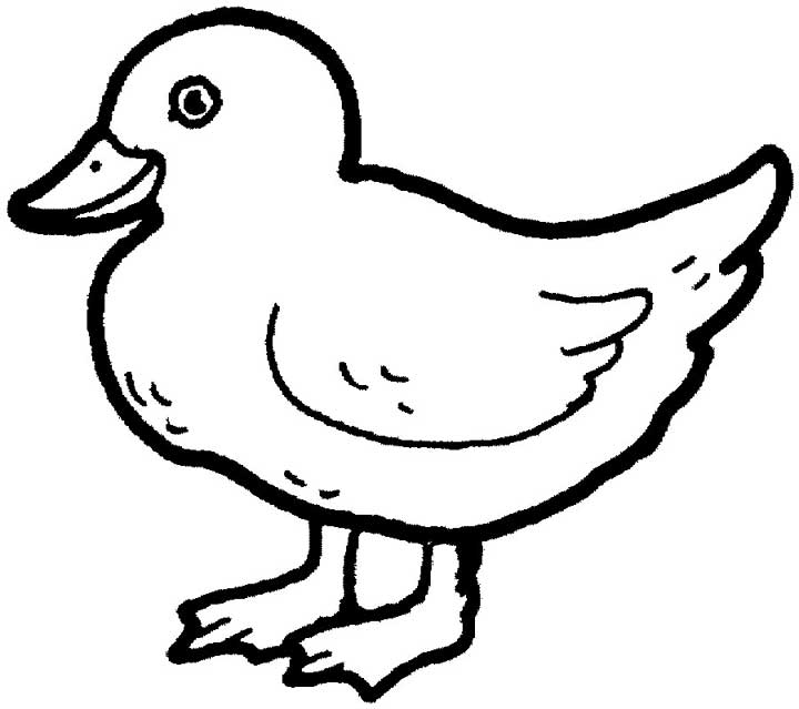 This coloring page for kids features a cute duckling, help brighten its day by adding color!
