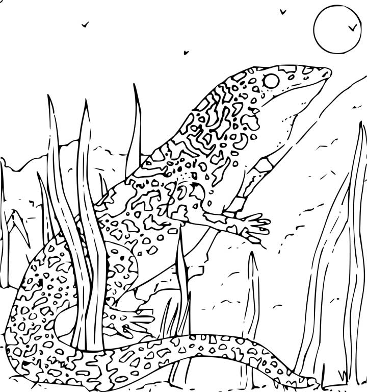 This coloring page for kids features a gecko making its way through plants and over a rock.