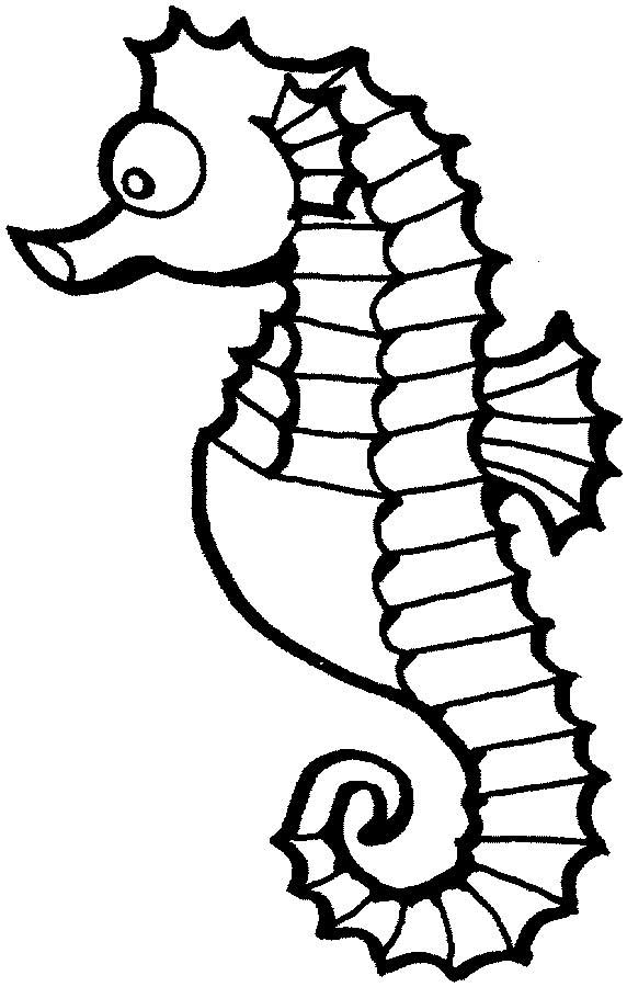 Seahorse Coloring Page for Kids Free Printable Picture