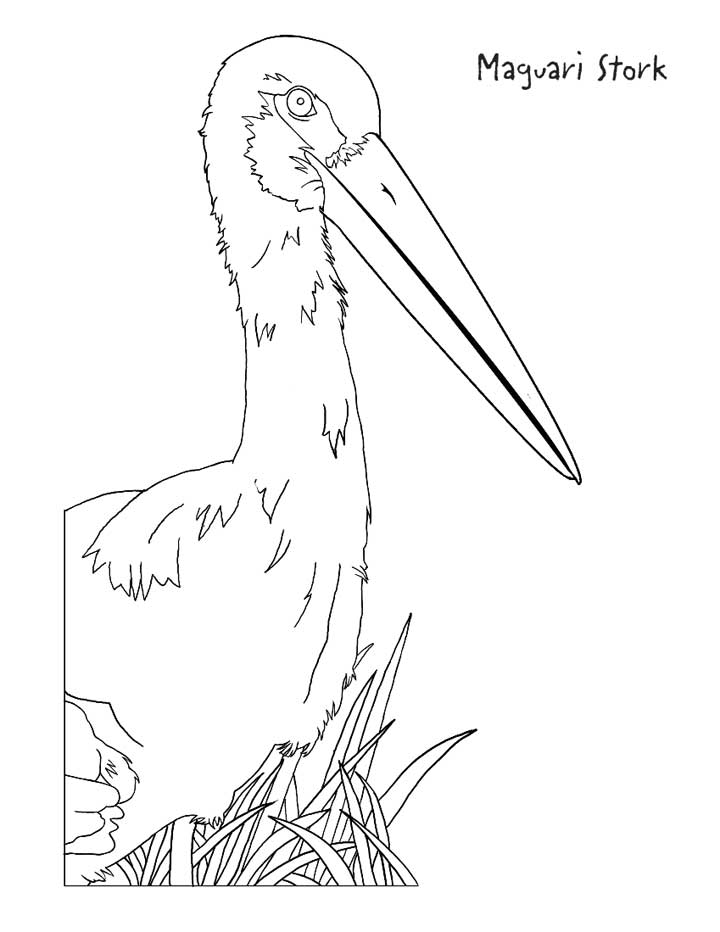 This coloring page for kids features a Maguari Stork standing amongst plants.