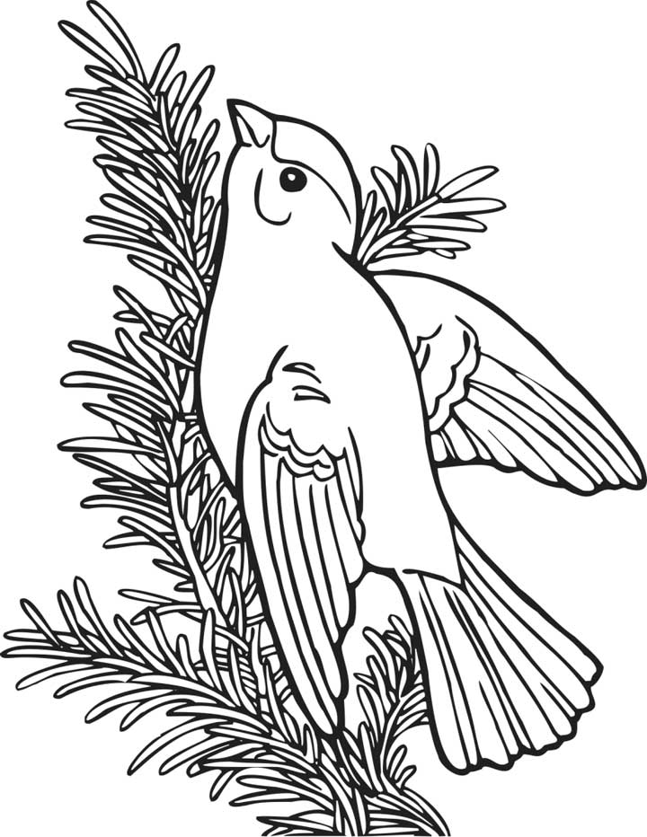 third grade coloring pages - photo #46