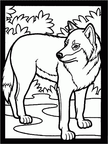 This coloring page for kids features a wolf, add color to make it look bright and colorful.