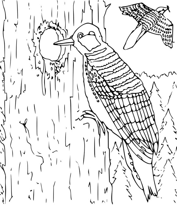 This coloring page for kids features a woodpecker working hard pecking a hole in the trunk of a tree. Another woodpecker can be seen flying off in the distance.