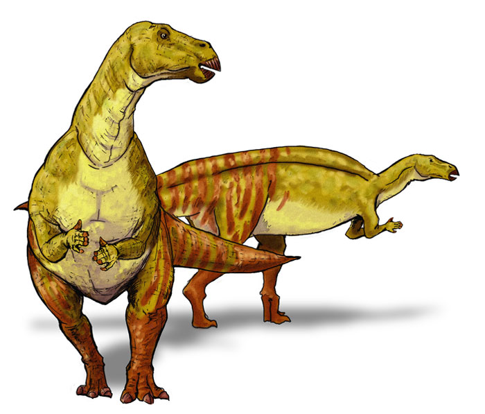 This drawing shows the possible appearance of Nanyangosaurus, a dinosaur from the early Cretaceous Period. Nanyangosaurus was an Iguanodont and lived in an area that is now China. This dinosaur was first described in the year 2000.