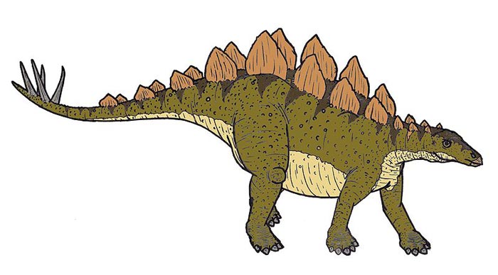 This picture shows a Stegosaurus illustration. Stegosaurus lived in the late Jurassic period (around 150 million years ago).