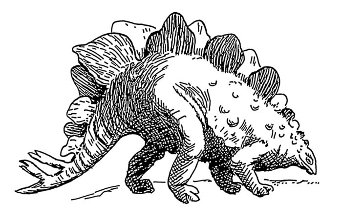 This picture shows a line art drawing of a Stegosaurus, a dinosaur from the late Jurassic Period, around 150 million years ago.