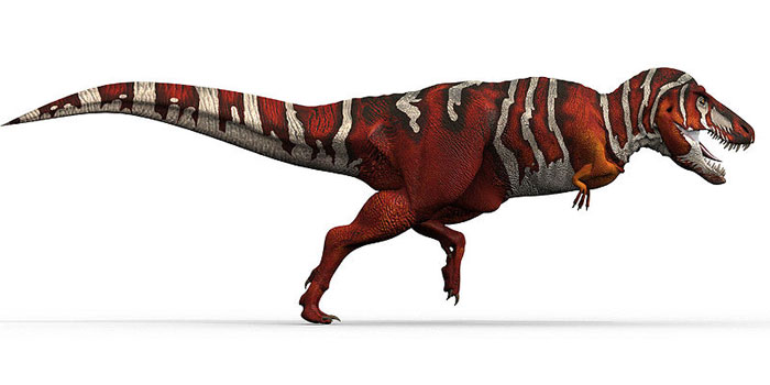 This excellent CGI picture shows a Tyrannosaurus rex dinosaur running from a side on view.