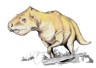 Prenoceratops picture