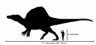 Spinosaurus size scale