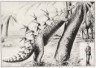 Early Stegosaurus Drawing