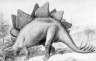 Stegosaurus Sketch