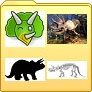Triceratops pictures