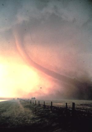 A remarkable photo showing a deadly twister in action as it rips up the ground and anything in its path of destruction.