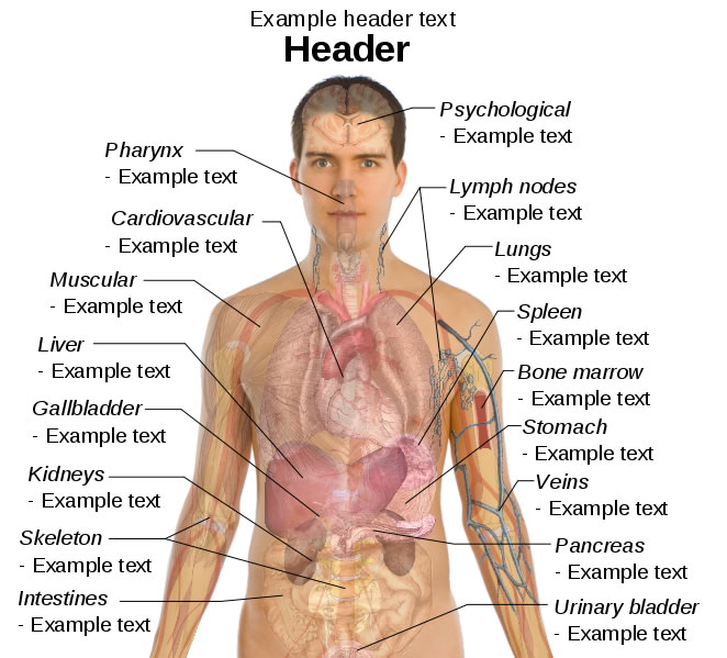 This male diagram template lists important parts of the body and 
gives users the chance to write their own descriptions under the various
 body part headings.