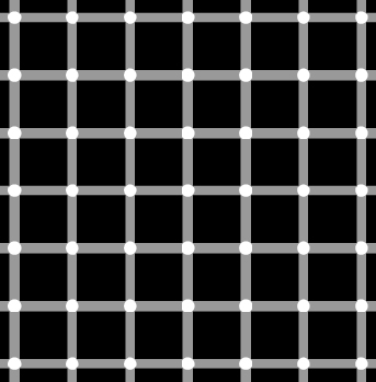 This picture is an example of a scintillating grid illusion. Discovered in 1994 by E. Lingelbach, it is similar to the Hermann grid illusion. When looking at the grid, dark dots seem to appear and disappear at random.