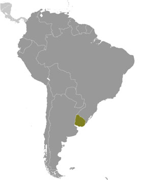 Uruguay location