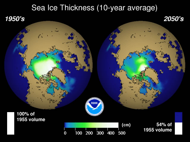 This image shows the thickness of Arctic sea ice in the 1950's compared to the projected Arctic sea ice levels 100 years later.