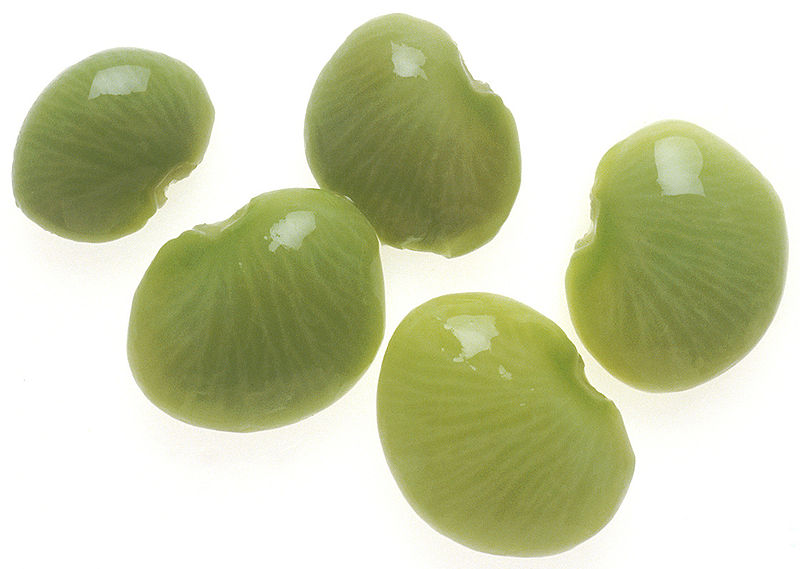 This high quality image looks down on five lima beans set against a white background.