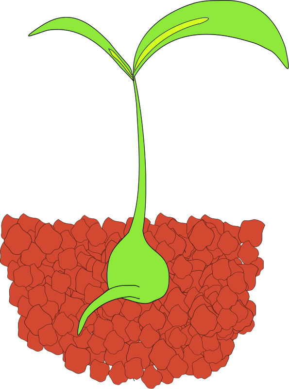 This clip art image features a seed sprouting from soil.