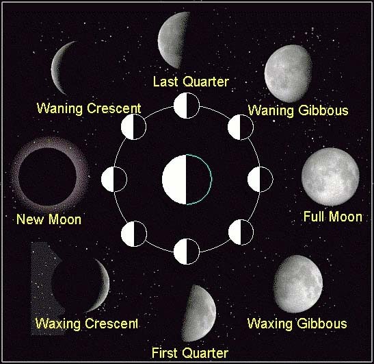 Phases Of The Moon Chart For Kids