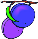 Plum Facts - Calories, Sugar, Vitamins, Uses, Trees, Nutritional Information
