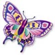 Interesting Information about Butterflies