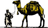 By Camel or Car?