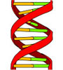 Genetic Engineering Job Information