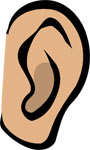 Interesting facts about human ears and our sense of hearing