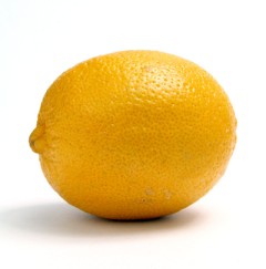 Lemon used for making your own lemonade fizzy soda softdrink 