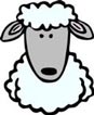Interesting Information about Sheep