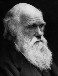 Charles Darwin Facts
