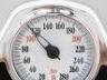 Top Ten Heaviest People