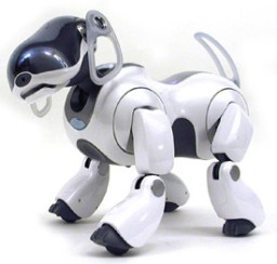 AIBO