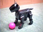 Early AIBO