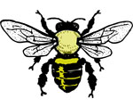 Interesting Information about Bees and Wasps