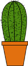 Fun Cactus Facts for Kids - Interesting Information about Cacti
